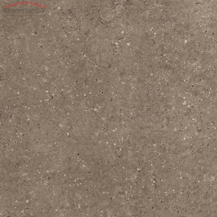 Керамогранит Гранитея Аркаим коричневый G 214 MR (60х60) матовый